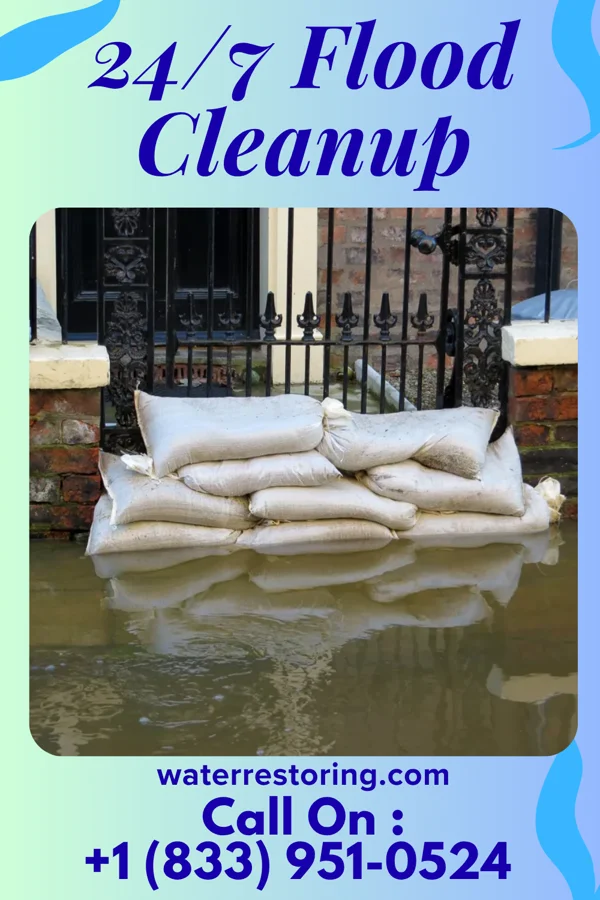 24/7 Flood Cleanup in La Loma de Falcon, TX