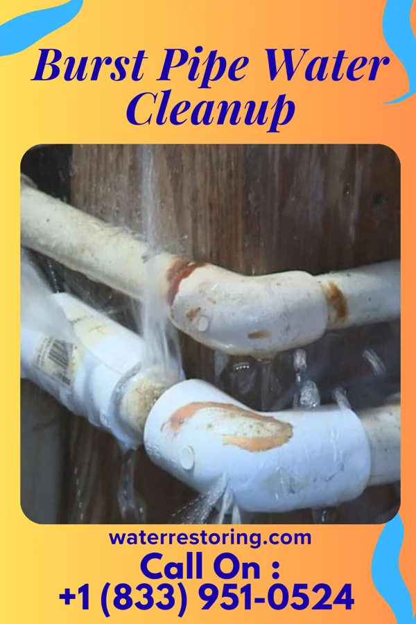 Burst Pipe Water Cleanup in La Loma de Falcon, TX