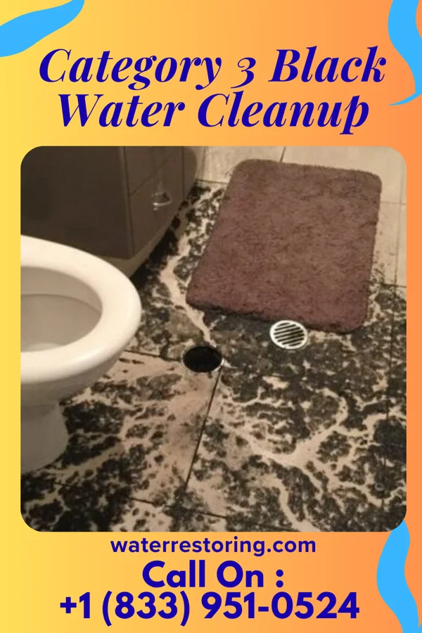 Category 3 Black Water Cleanup in La Loma de Falcon, TX