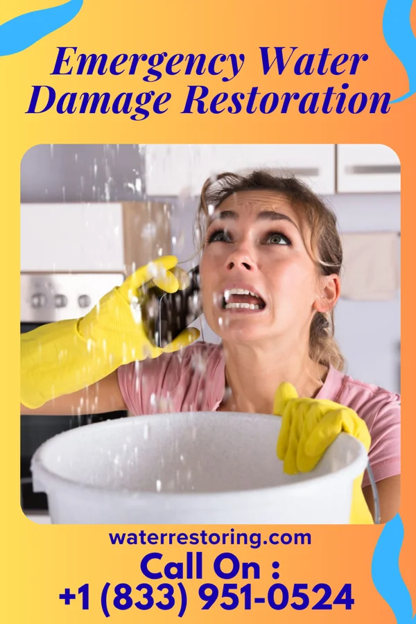 Emergency Water Damage Restoration in La Loma de Falcon, TX
