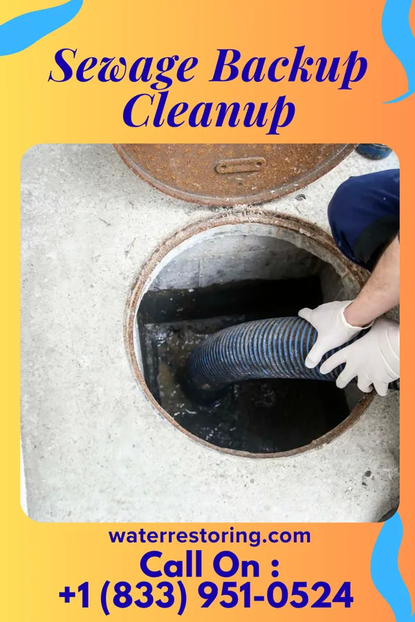 Sewage Backup Cleanup in La Loma de Falcon, TX