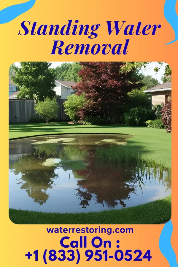 Standing Water Removal in La Loma de Falcon, TX